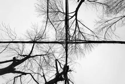 Crystal Kasino Mobilní aplikace